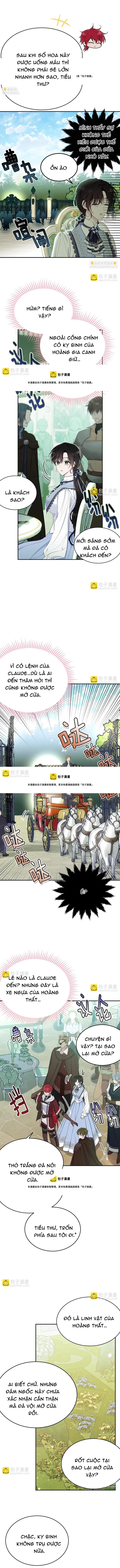 Tiểu Thư Mà Tôi Phục Vụ Biến Thành Thiếu Gia Rồi - Chapter 78 - Page 6