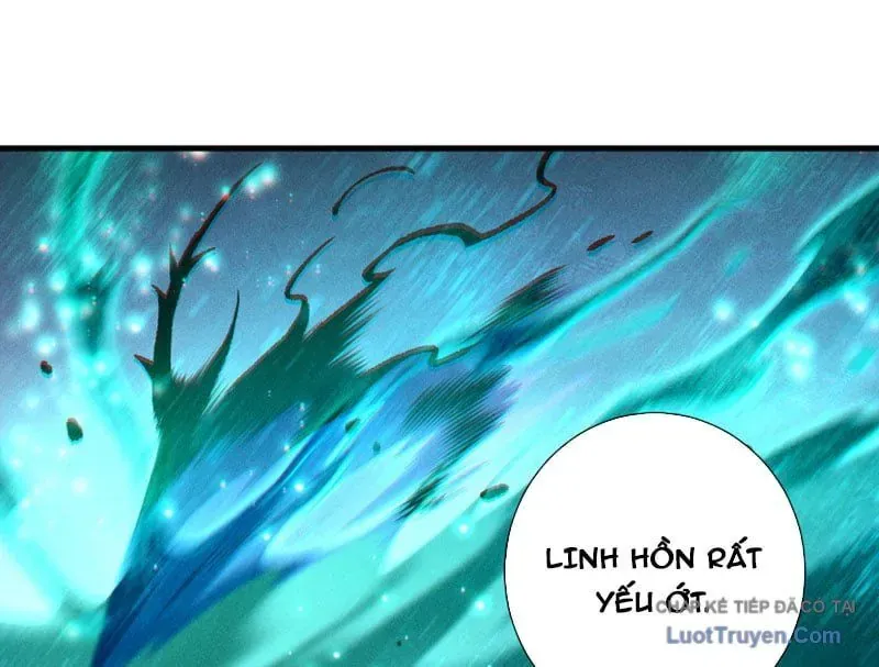 Thảm Họa Tử Linh Sư - Chapter 243 - Page 18