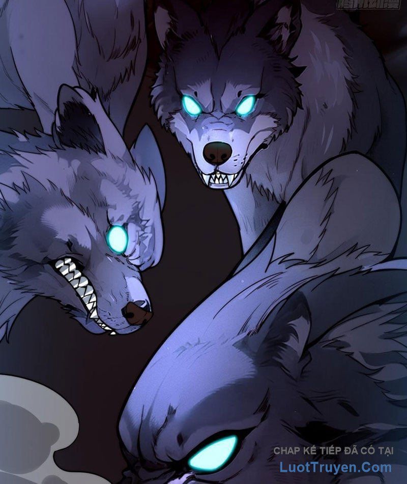 Tối Cường Khí Thiếu (Bản Mới) - Chapter 2 - Page 13