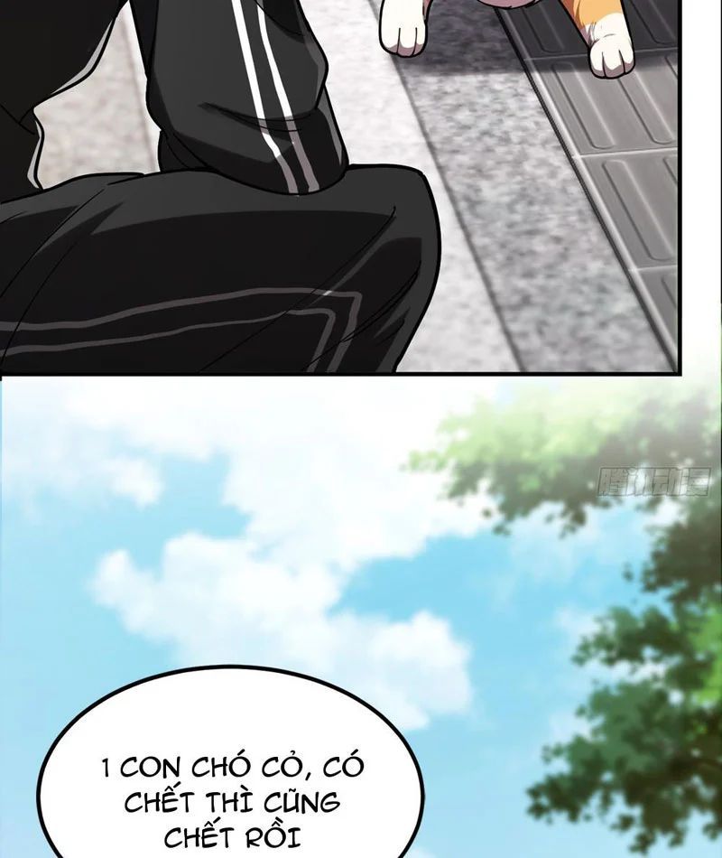 Tối Cường Khí Thiếu (Bản Mới) - Chapter 3 - Page 49