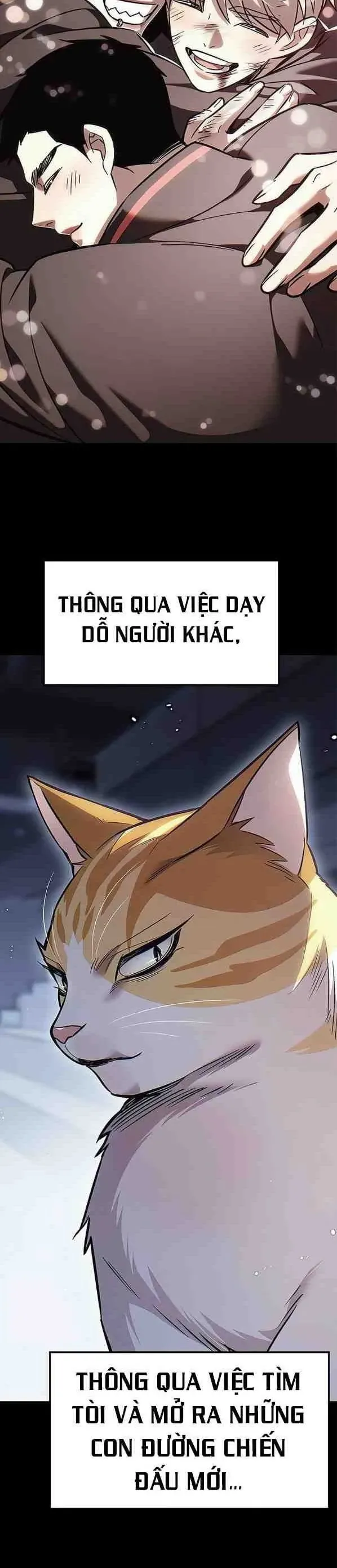 Hoá Thân Thành Mèo - Chapter 385 - Page 9