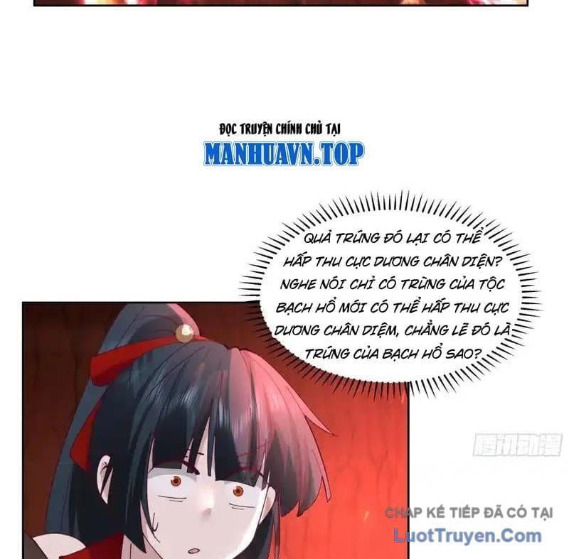 Nữ Phụ Tu Tiên Từ Chối Kịch Bản Pháo Hôi - Chapter 32 - Page 24