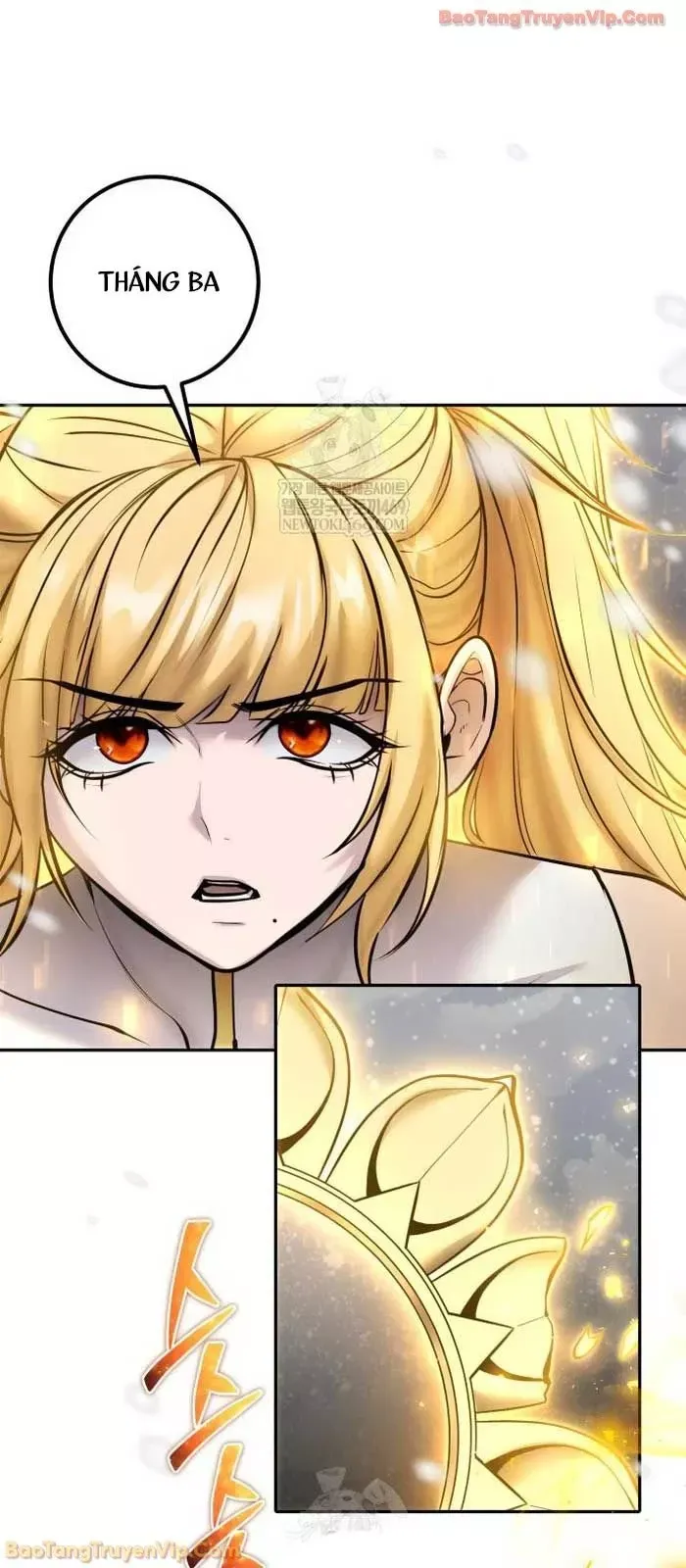 Tôi Mạnh Hơn Anh Hùng - Chapter 101 - Page 13