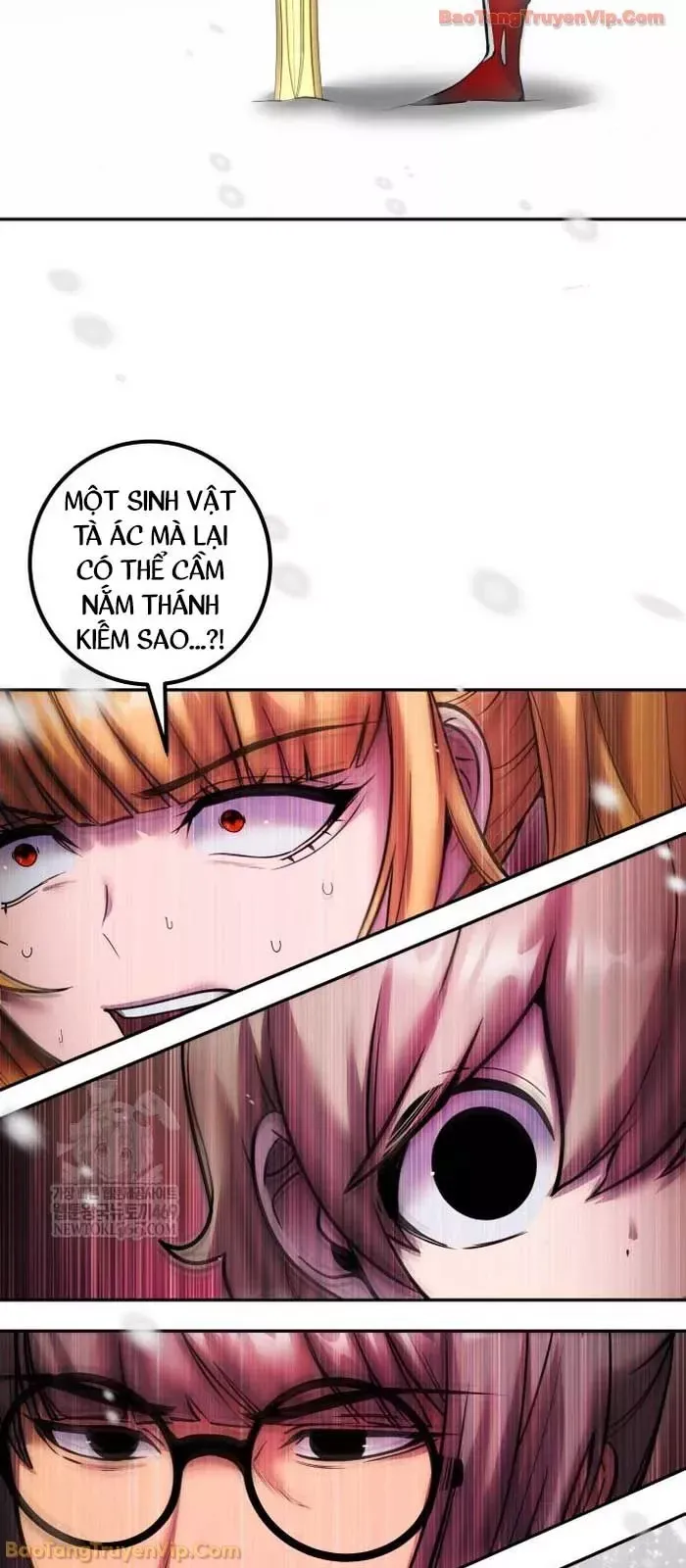 Tôi Mạnh Hơn Anh Hùng - Chapter 101 - Page 28