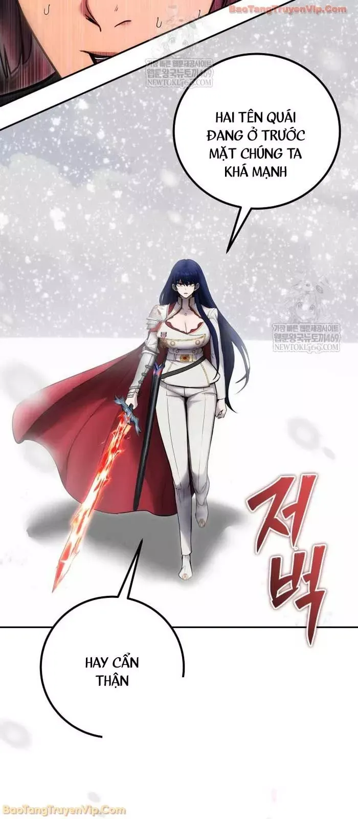 Tôi Mạnh Hơn Anh Hùng - Chapter 101 - Page 29