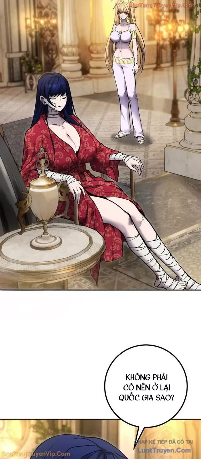 Tôi Mạnh Hơn Anh Hùng - Chapter 99 - Page 52