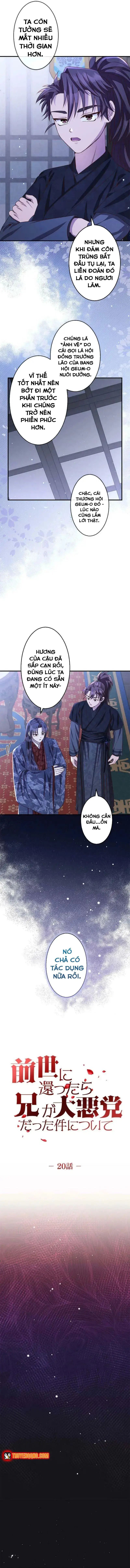 Trùng Sinh Về Kiếp Trước, Ta Phát Hiện Anh Trai Là Kẻ Đại Ác Nhân - Chapter 20 - Page 5