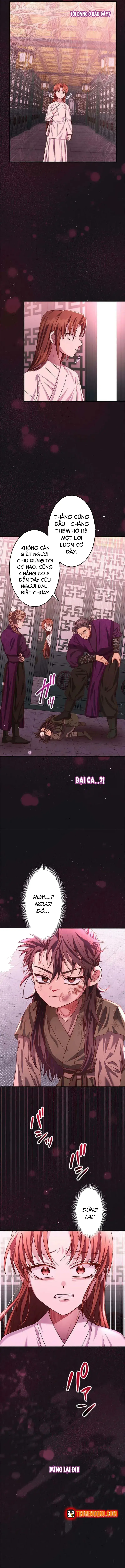 Trùng Sinh Về Kiếp Trước, Ta Phát Hiện Anh Trai Là Kẻ Đại Ác Nhân - Chapter 20 - Page 9