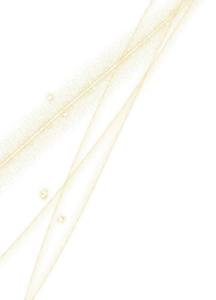 Kiếp Này, Tôi Sẽ Trở Thành Gia Chủ - Chapter 134 - Page 131