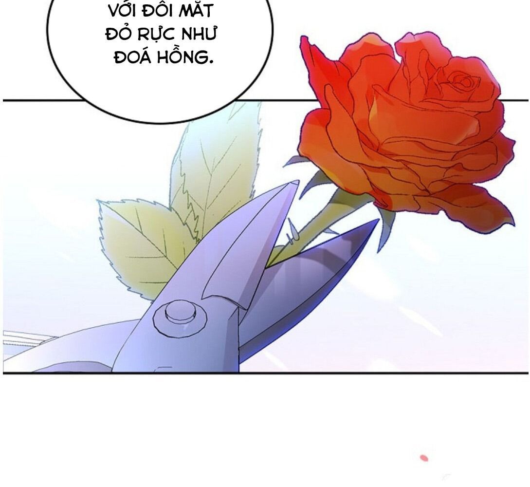 Kiếp Này, Tôi Sẽ Trở Thành Gia Chủ - Chapter 15 - Page 19