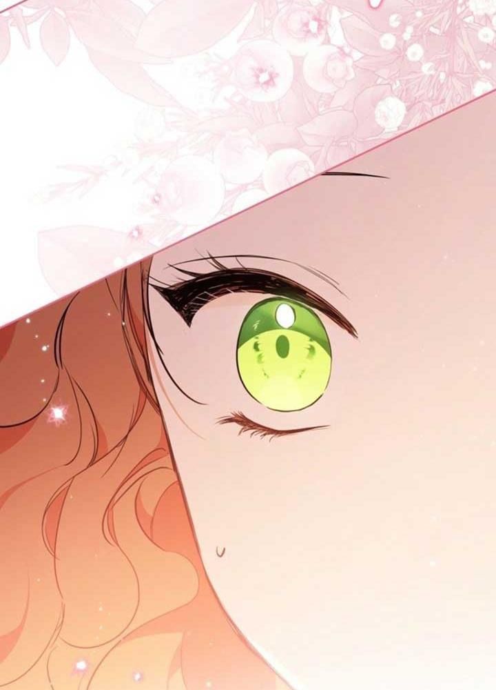 Kiếp Này, Tôi Sẽ Trở Thành Gia Chủ - Chapter 172 - Page 20