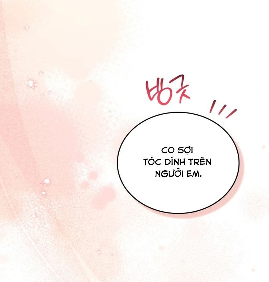 Kiếp Này, Tôi Sẽ Trở Thành Gia Chủ - Chapter 186 - Page 19