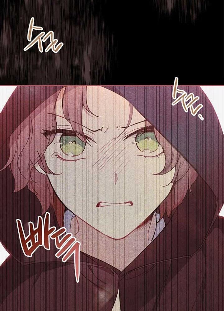 Kiếp Này, Tôi Sẽ Trở Thành Gia Chủ - Chapter 189 - Page 55