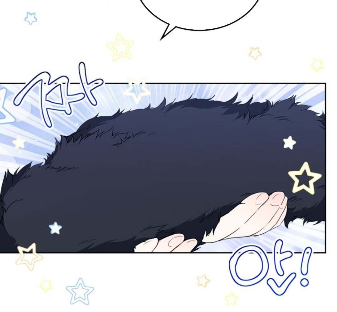 Kiếp Này, Tôi Sẽ Trở Thành Gia Chủ - Chapter 49 - Page 12