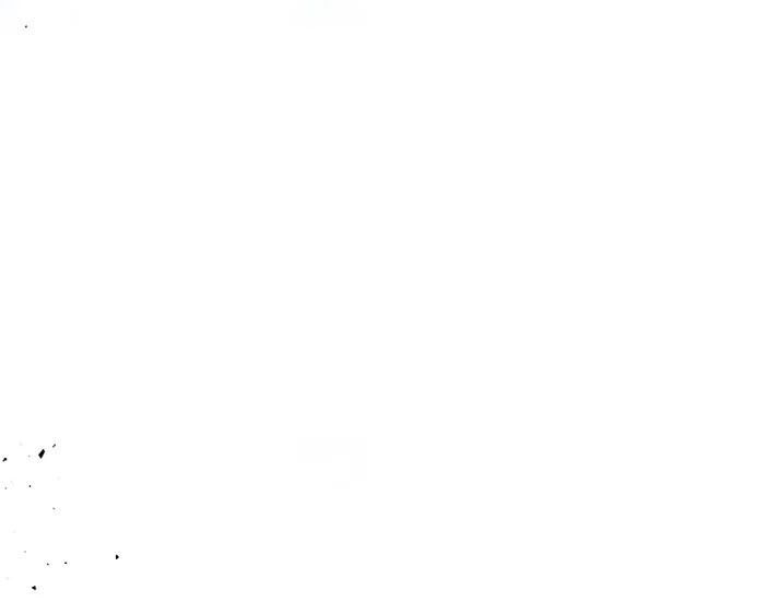 Võ Thần Hồi Quy Cấp 2 - Chapter 11 - Page 142