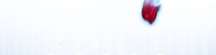 Võ Thần Hồi Quy Cấp 2 - Chapter 6 - Page 117