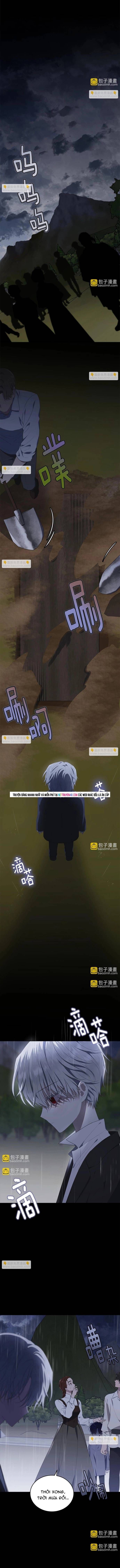 Tiểu Thư Mà Tôi Phục Vụ Biến Thành Thiếu Gia Rồi - Chapter 96 - Page 11