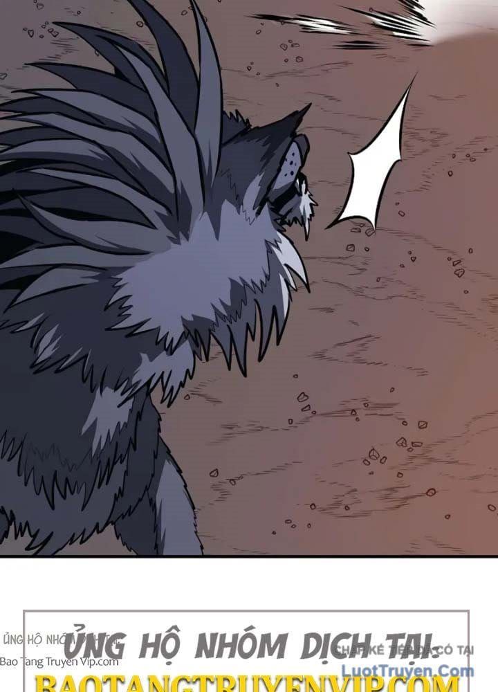 Vòng Chơi Thứ Hai Của Chiến Binh Cuồng Nộ - Chapter 11 - Page 19