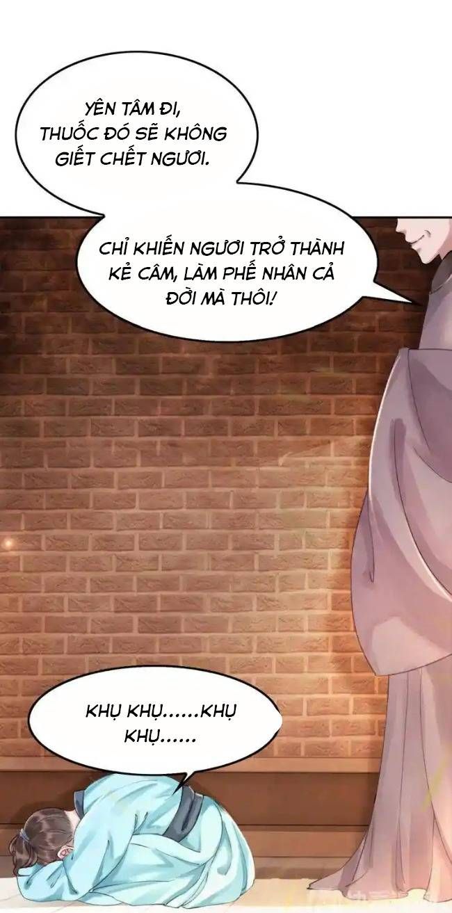 Hoàng Tỷ Của Ta Không Phải Dạng Dễ Bắt Nạt - Chapter 1 - Page 15