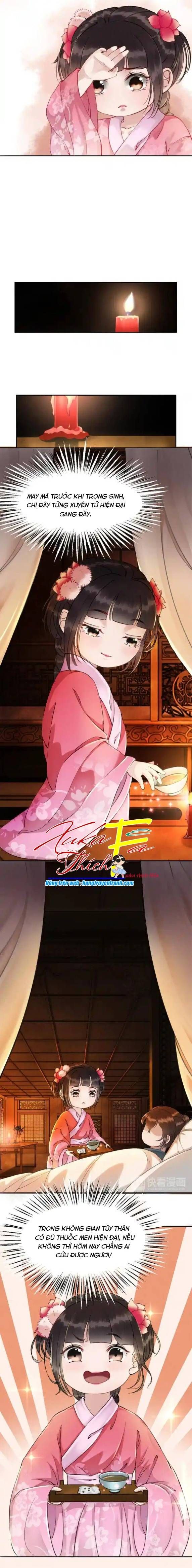 Hoàng Tỷ Của Ta Không Phải Dạng Dễ Bắt Nạt - Chapter 2 - Page 14