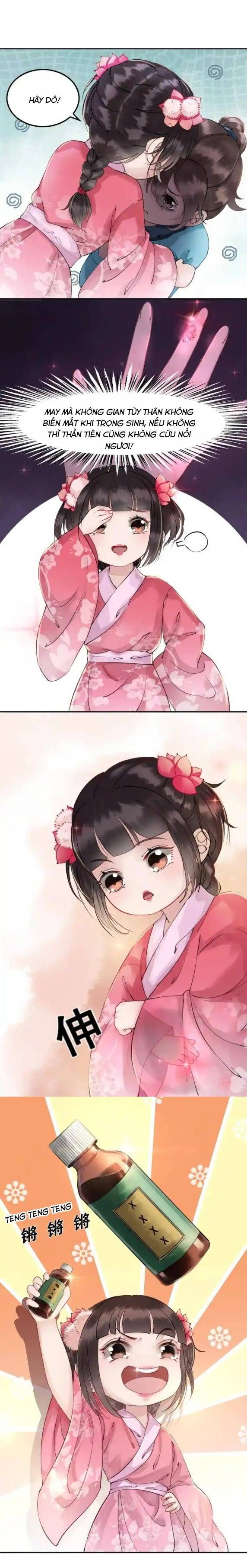 Hoàng Tỷ Của Ta Không Phải Dạng Dễ Bắt Nạt - Chapter 2 - Page 5