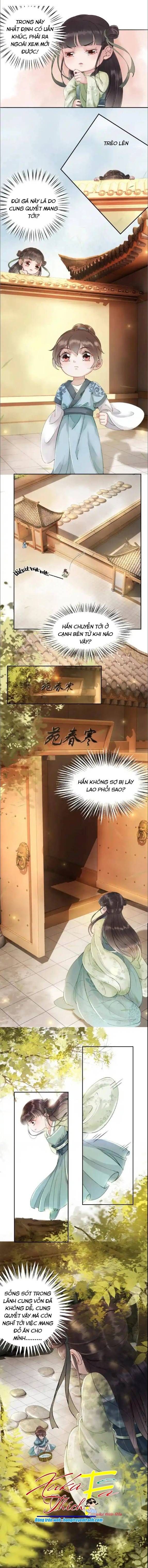 Hoàng Tỷ Của Ta Không Phải Dạng Dễ Bắt Nạt - Chapter 3 - Page 12