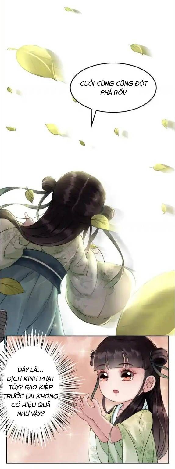 Hoàng Tỷ Của Ta Không Phải Dạng Dễ Bắt Nạt - Chapter 3 - Page 8