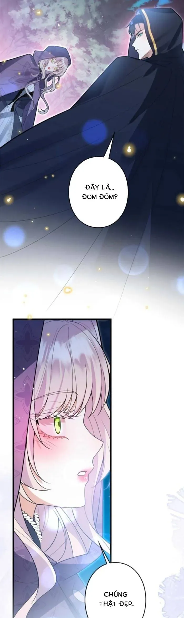 Mẹ Đơn Thân Và Nổi Ám Ảnh Của Thái Tử - Chapter 10 - Page 28