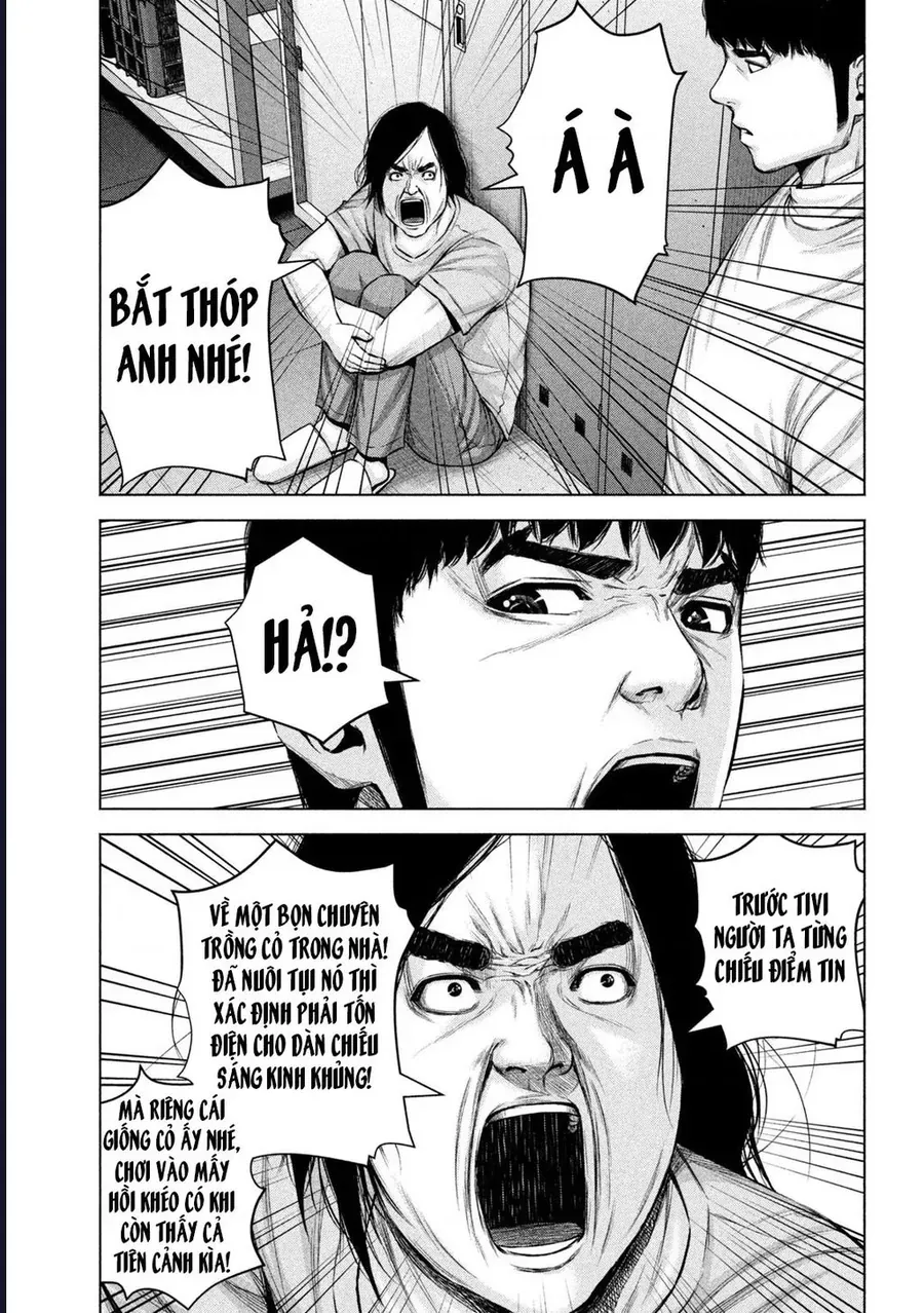 Hãy Gửi Lời Chào Của Tôi Tới Kenshiro - Chapter 41 - Page 14