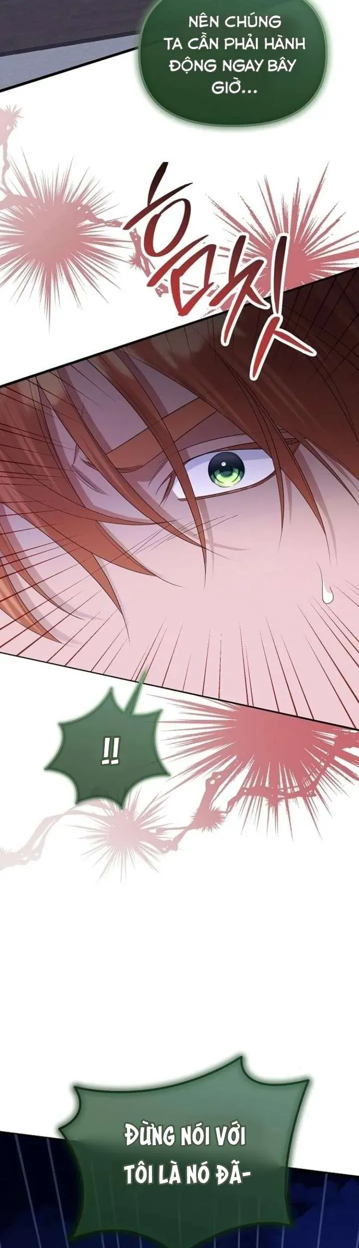 Trở Thành Con Gái Nuôi Của Gia Tộc Sát Thủ - Chapter 80 - Page 29