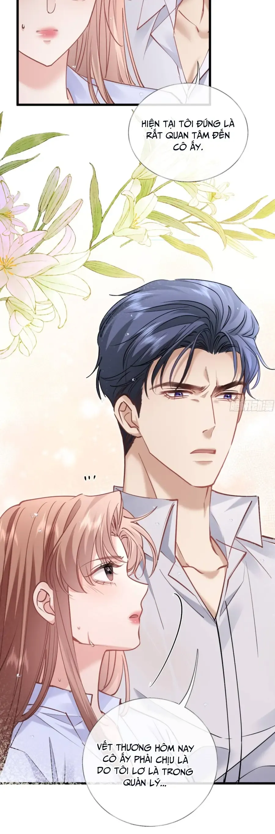 Từ Chối Hiến Thận, Tôi Trở Thành Mợ Út Của Người Yêu Cũ - Chapter 25 - Page 23