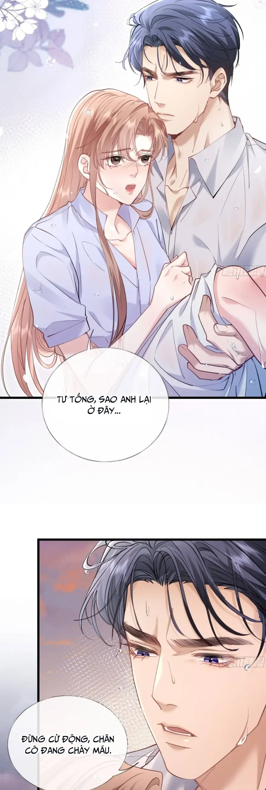 Từ Chối Hiến Thận, Tôi Trở Thành Mợ Út Của Người Yêu Cũ - Chapter 25 - Page 3