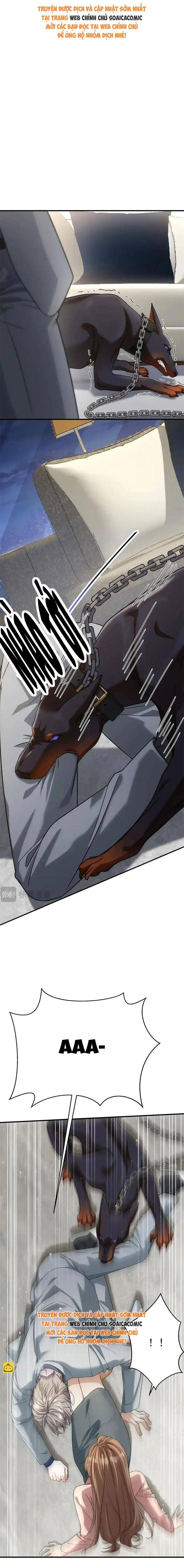 Tổng Tài Chó - Chapter 55 - Page 11