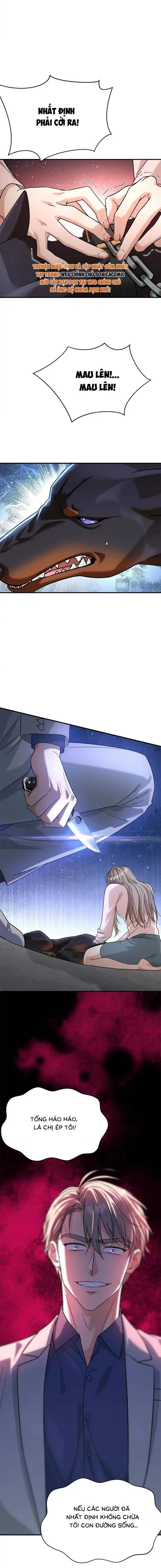 Tổng Tài Chó - Chapter 55 - Page 13