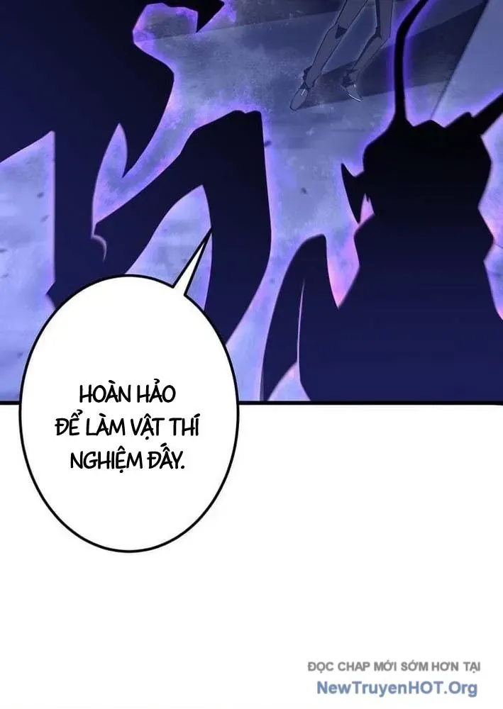 Bậc Thầy Bẫy Toàn Trí Toàn Năng - Chapter 5 - Page 24