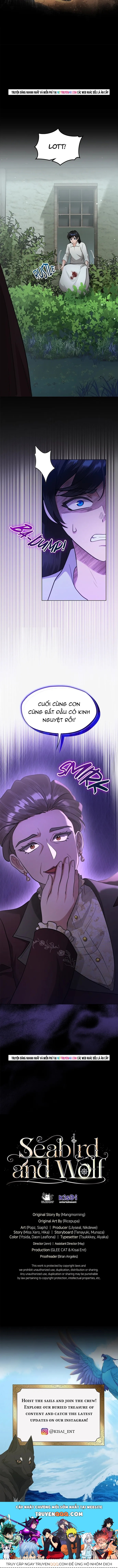 Hải Âu & Sói Hoang - Chapter 61 - Page 15