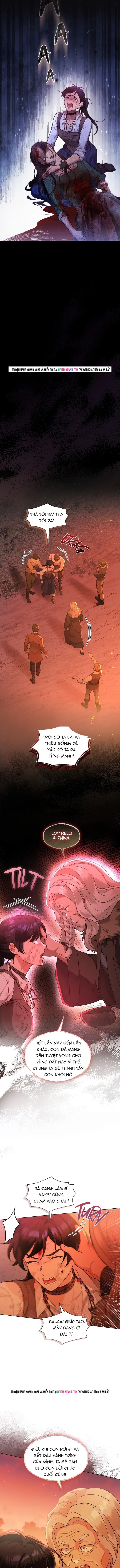 Hải Âu & Sói Hoang - Chapter 62 - Page 11