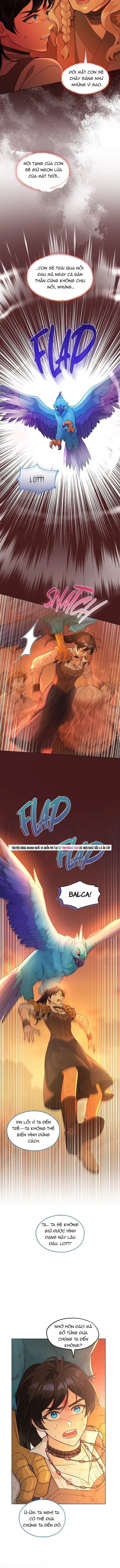 Hải Âu & Sói Hoang - Chapter 62 - Page 12