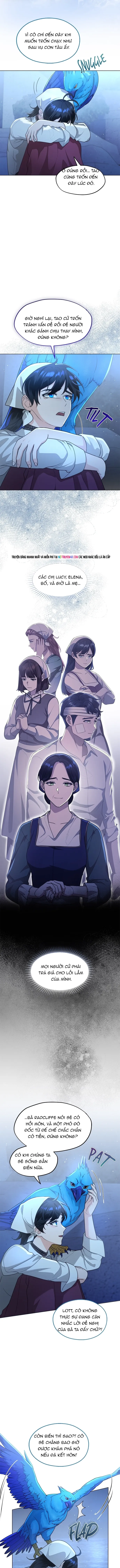 Hải Âu & Sói Hoang - Chapter 62 - Page 6