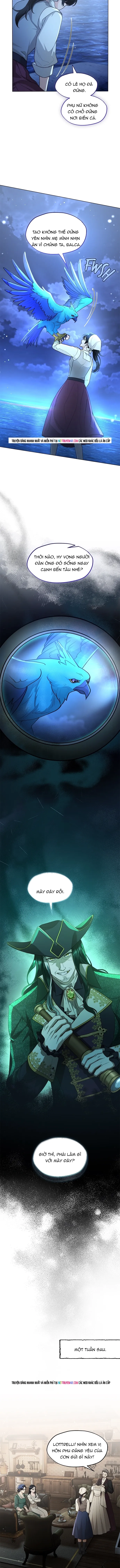 Hải Âu & Sói Hoang - Chapter 62 - Page 7