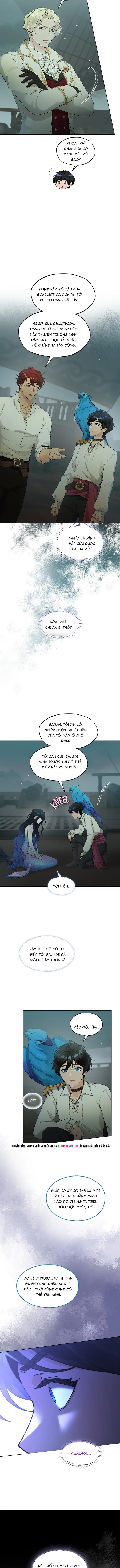 Hải Âu & Sói Hoang - Chapter 63 - Page 8