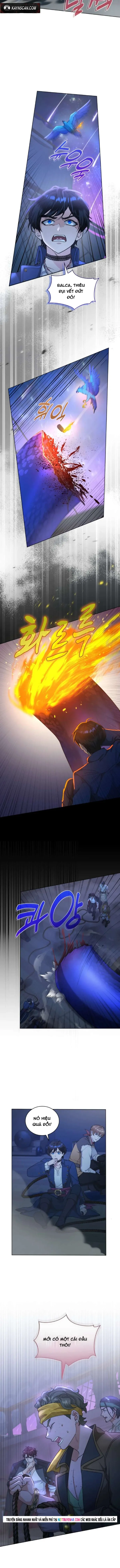 Hải Âu & Sói Hoang - Chapter 65 - Page 11