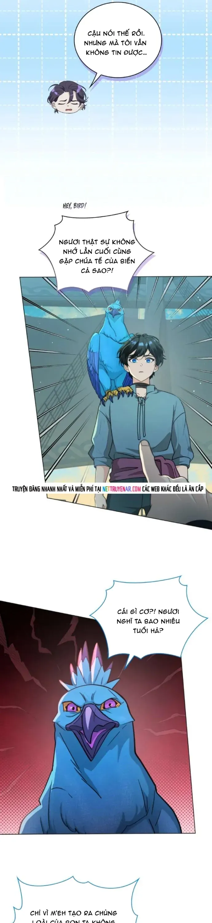 Hải Âu & Sói Hoang - Chapter 70 - Page 16