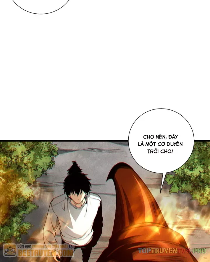 Thảm Họa Tử Linh Sư - Chapter 244 - Page 5