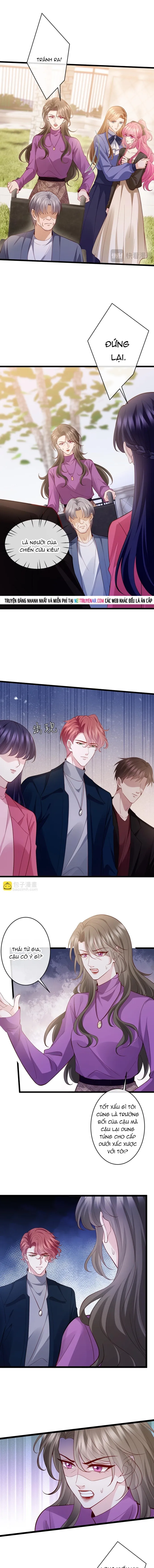 Danh Môn Chí Ái - Chapter 543 - Page 3