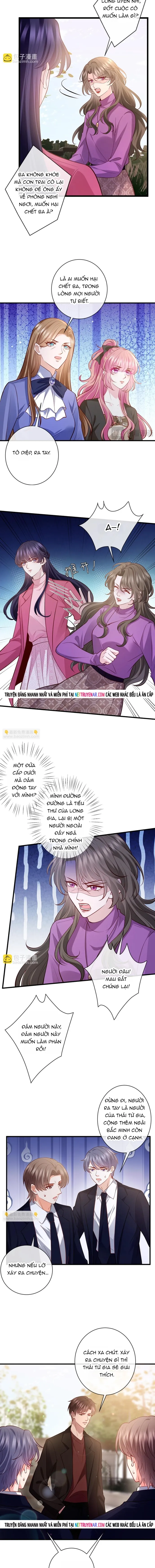 Danh Môn Chí Ái - Chapter 543 - Page 4