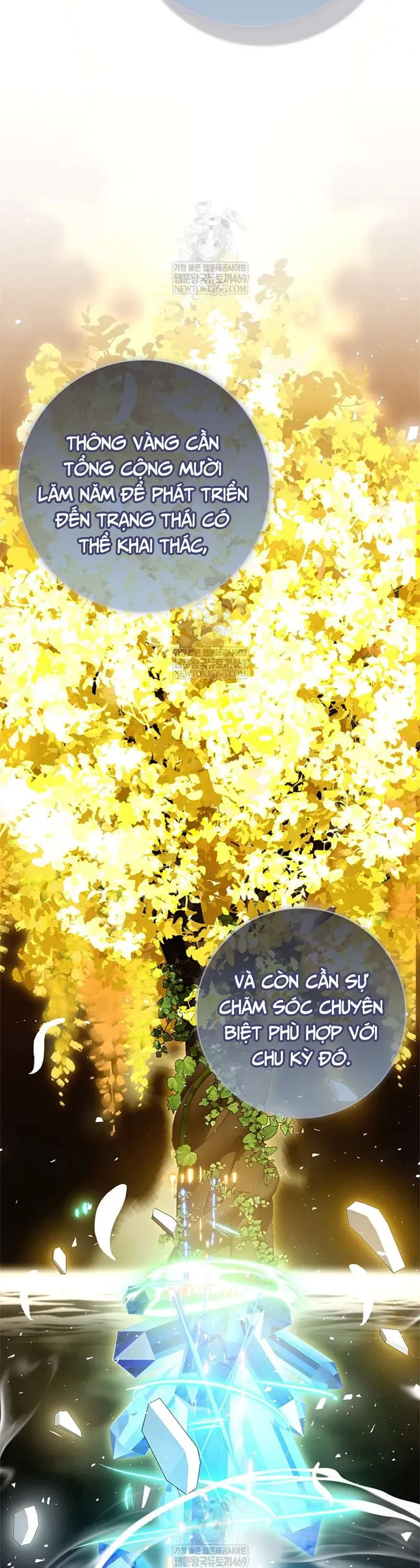 Xin Lỗi Vì Tôi Không Thể Rời Mắt Khỏi Vẻ Ngoài Của Ngài - Chapter 51 - Page 25