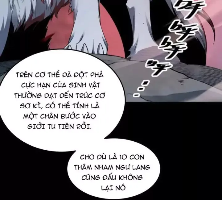 Tiên Vương Thú Liệp Pháp Tắc - Chapter 32 - Page 47