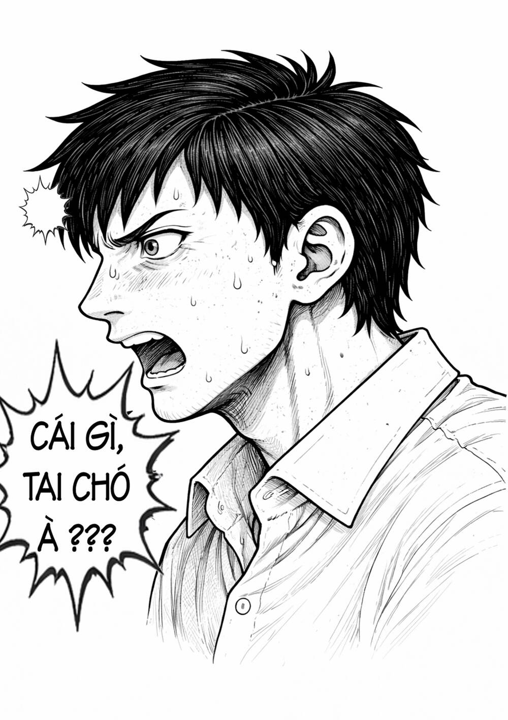 It Việt Nam Tái Sinh Tại Dị Giới - Chapter 14 - Page 5