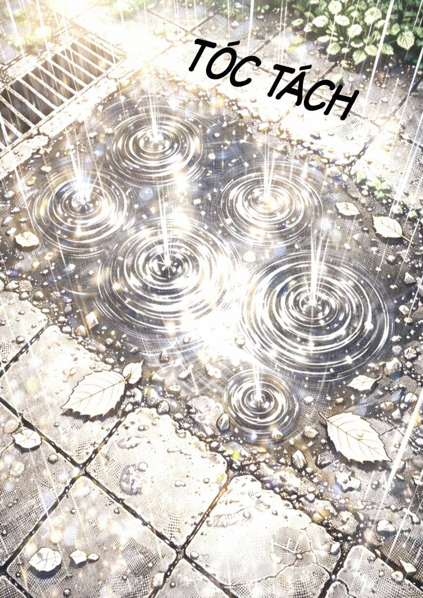 It Việt Nam Tái Sinh Tại Dị Giới - Chapter 16 - Page 8